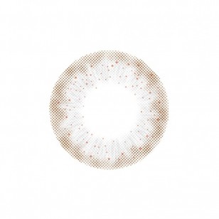 Lighly Lily Gray(日拋)